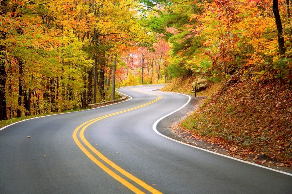 winding road, wind, autumn